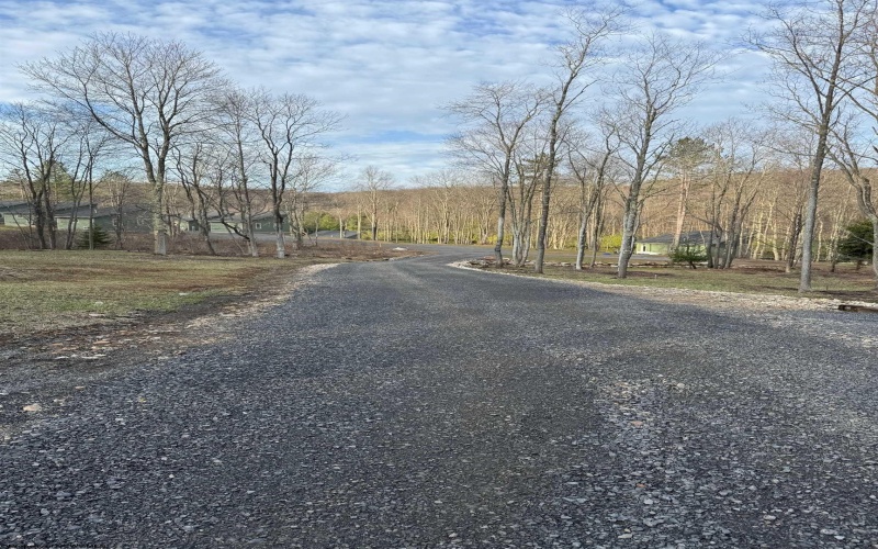 Lot 17 Wooten Drive, Thomas, West Virginia 26292, ,Lots/land,For Sale,Wooten,10158788