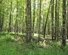Lot 4 Grosbeak Drive, Terra Alta, West Virginia 26764, ,Lots/land,For Sale,Grosbeak,10158809