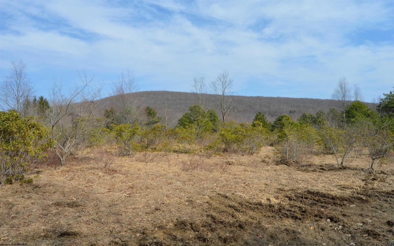Lot 4 Grosbeak Drive, Terra Alta, West Virginia 26764, ,Lots/land,For Sale,Grosbeak,10158809
