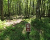 Lot 4 Grosbeak Drive, Terra Alta, West Virginia 26764, ,Lots/land,For Sale,Grosbeak,10158809