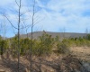Lot 4 Grosbeak Drive, Terra Alta, West Virginia 26764, ,Lots/land,For Sale,Grosbeak,10158809