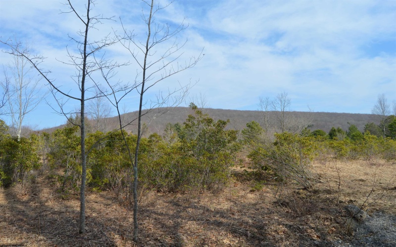 Lot 4 Grosbeak Drive, Terra Alta, West Virginia 26764, ,Lots/land,For Sale,Grosbeak,10158809
