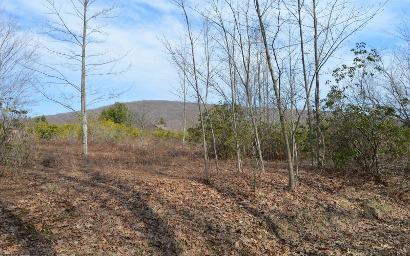 Lot 4 Grosbeak Drive, Terra Alta, West Virginia 26764, ,Lots/land,For Sale,Grosbeak,10158809