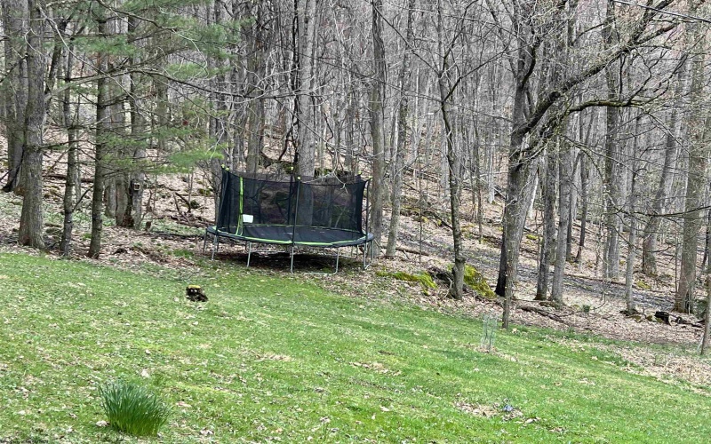 1796 Possum Hollow Road, Mill Creek, West Virginia 26280, 3 Bedrooms Bedrooms, 8 Rooms Rooms,2 BathroomsBathrooms,Single Family Detached,For Sale,Possum Hollow,10158806