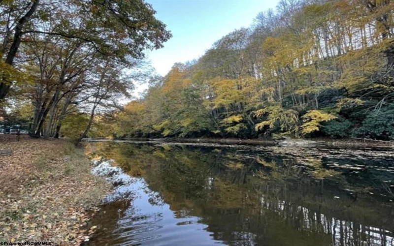 178 Palmer Drive, Bruceton Mills, West Virginia 26525, ,Lots/land,For Sale,Palmer,10158818