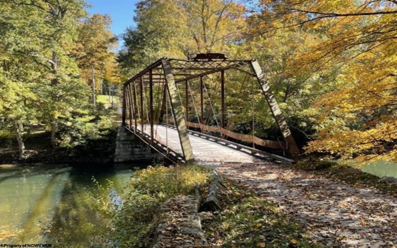 178 Palmer Drive, Bruceton Mills, West Virginia 26525, ,Lots/land,For Sale,Palmer,10158818