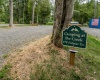 178 Palmer Drive, Bruceton Mills, West Virginia 26525, ,Lots/land,For Sale,Palmer,10158818
