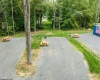 178 Palmer Drive, Bruceton Mills, West Virginia 26525, ,Lots/land,For Sale,Palmer,10158818