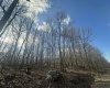 208 Betony Lane, Terra Alta, West Virginia 26764, ,Lots/land,For Sale,Betony,10158837