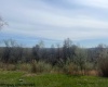 32 Springston Drive, Fairmont, West Virginia 26554, ,Lots/land,For Sale,Springston,10158863