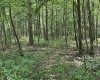 Lot 31 Oak Drive, Albright, West Virginia 26519, ,Lots/land,For Sale,Oak,10158847