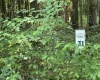 Lot 31 Oak Drive, Albright, West Virginia 26519, ,Lots/land,For Sale,Oak,10158847