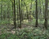 Lot 31 Oak Drive, Albright, West Virginia 26519, ,Lots/land,For Sale,Oak,10158847