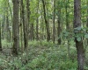 Lot 31 Oak Drive, Albright, West Virginia 26519, ,Lots/land,For Sale,Oak,10158847