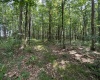 Lot 32 Oak Drive, Albright, West Virginia 26519, ,Lots/land,For Sale,Oak,10158848