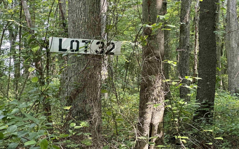 Lot 32 Oak Drive, Albright, West Virginia 26519, ,Lots/land,For Sale,Oak,10158848
