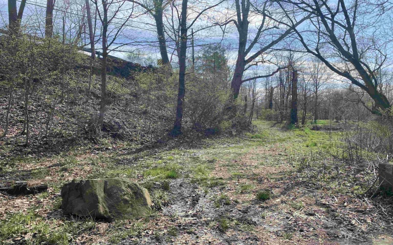 44 Poling Farm Road, Clarksburg, West Virginia 26301, ,Lots/land,For Sale,Poling Farm,10158888