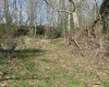 44 Poling Farm Road, Clarksburg, West Virginia 26301, ,Lots/land,For Sale,Poling Farm,10158888