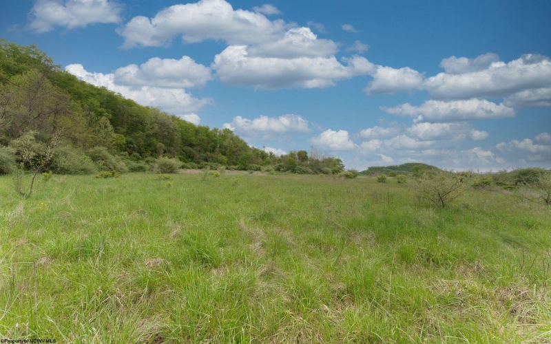 1601A Lazzelle Union Road, Maidsville, West Virginia 26541, ,Lots/land,For Sale,Lazzelle Union,10158907