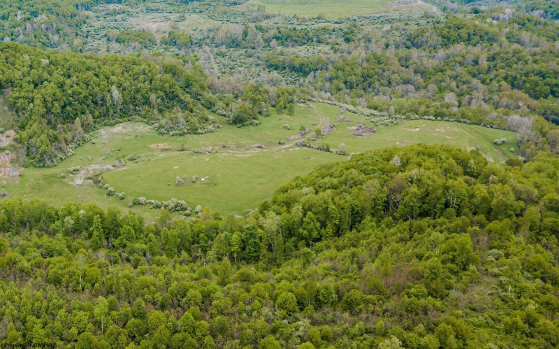1601A Lazzelle Union Road, Maidsville, West Virginia 26541, ,Lots/land,For Sale,Lazzelle Union,10158907