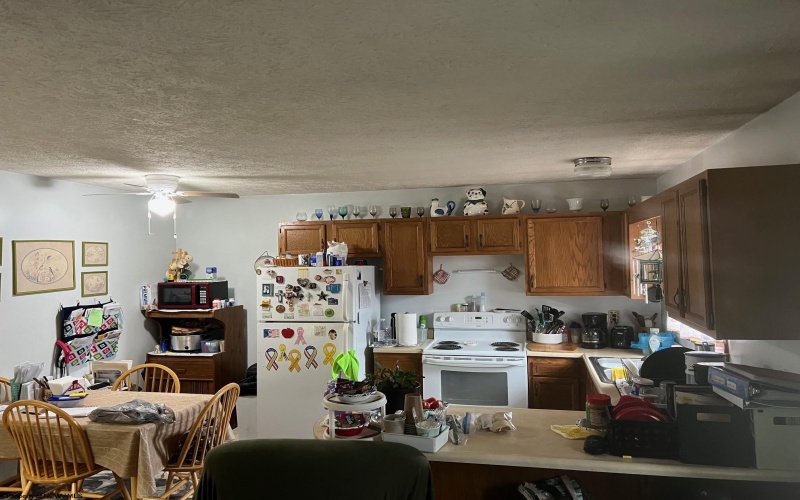 90 Johnson Avenue, Elkins, West Virginia 26241, ,Multi-unit/income,For Sale,Johnson,10158914