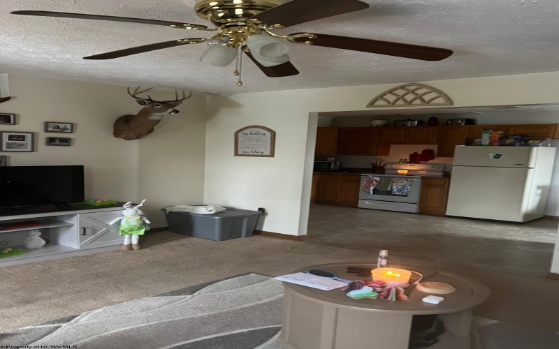 90 Johnson Avenue, Elkins, West Virginia 26241, ,Multi-unit/income,For Sale,Johnson,10158914