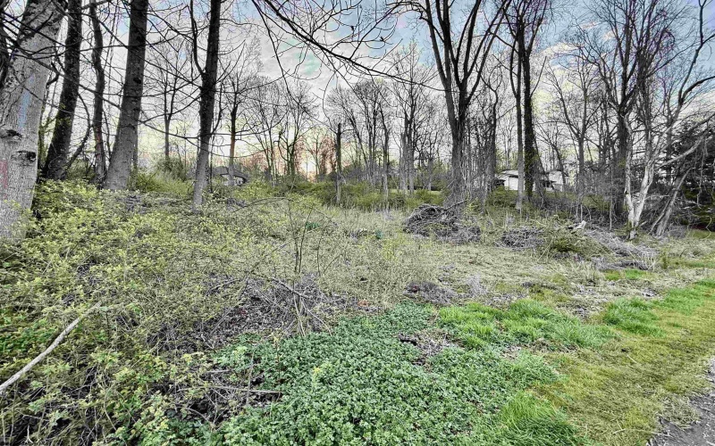 Lot 35 Meadowlark Lane, Fairmont, West Virginia 26554, ,Lots/land,For Sale,Meadowlark,10158921