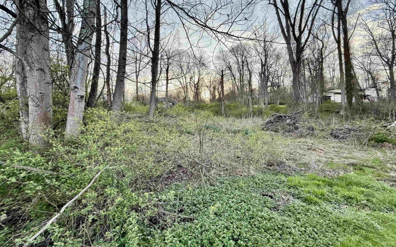 Lot 35 Meadowlark Lane, Fairmont, West Virginia 26554, ,Lots/land,For Sale,Meadowlark,10158921