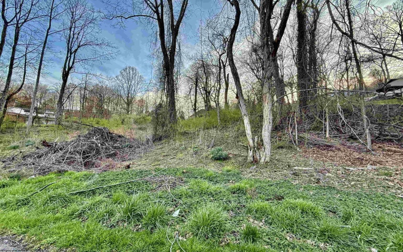 Lot 35 Meadowlark Lane, Fairmont, West Virginia 26554, ,Lots/land,For Sale,Meadowlark,10158921