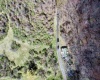 TBD Noble Road, Morgantown, West Virginia 26508, ,Lots/land,For Sale,Noble,10158932
