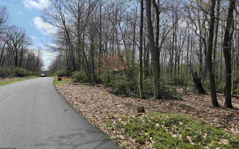 Lot 236 Laurel Circle, Terra Alta, West Virginia 26764, ,Lots/land,For Sale,Laurel,10158928
