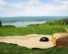 Lot 236 Laurel Circle, Terra Alta, West Virginia 26764, ,Lots/land,For Sale,Laurel,10158928