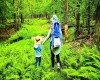 Lot 236 Laurel Circle, Terra Alta, West Virginia 26764, ,Lots/land,For Sale,Laurel,10158928