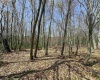 Lot 236 Laurel Circle, Terra Alta, West Virginia 26764, ,Lots/land,For Sale,Laurel,10158928