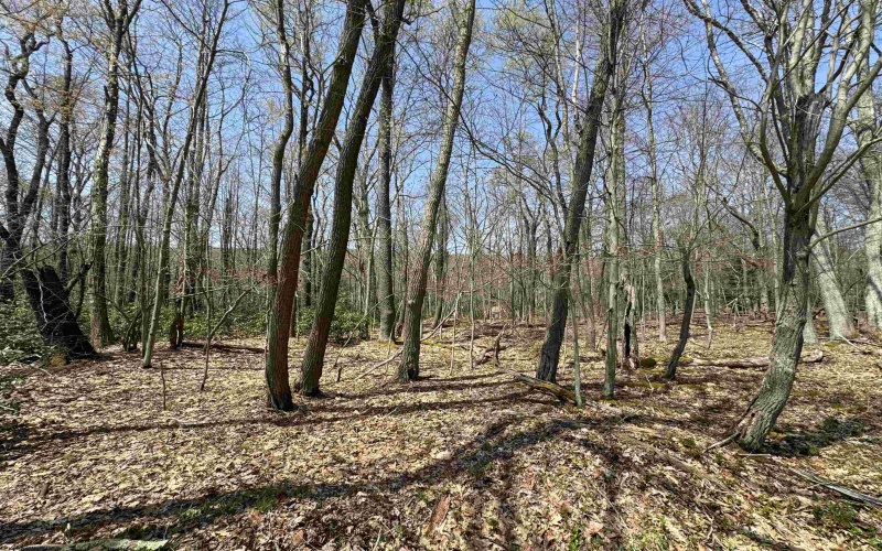 Lot 236 Laurel Circle, Terra Alta, West Virginia 26764, ,Lots/land,For Sale,Laurel,10158928