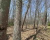 Lot 236 Laurel Circle, Terra Alta, West Virginia 26764, ,Lots/land,For Sale,Laurel,10158928