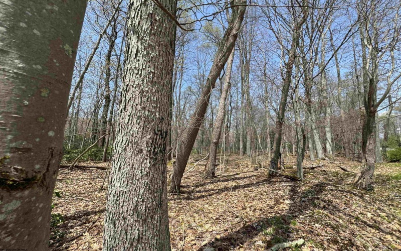 Lot 236 Laurel Circle, Terra Alta, West Virginia 26764, ,Lots/land,For Sale,Laurel,10158928