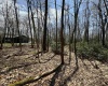 Lot 236 Laurel Circle, Terra Alta, West Virginia 26764, ,Lots/land,For Sale,Laurel,10158928