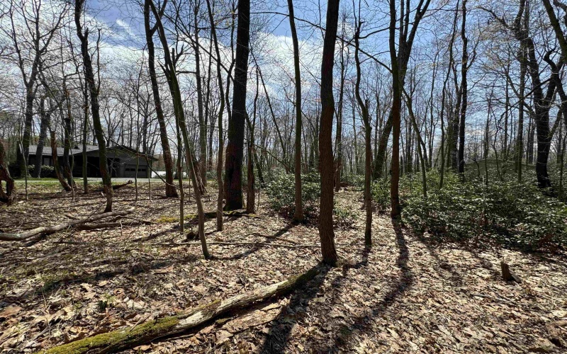 Lot 236 Laurel Circle, Terra Alta, West Virginia 26764, ,Lots/land,For Sale,Laurel,10158928