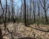 Lot 236 Laurel Circle, Terra Alta, West Virginia 26764, ,Lots/land,For Sale,Laurel,10158928