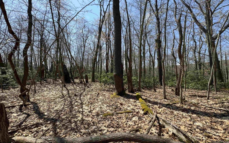 Lot 236 Laurel Circle, Terra Alta, West Virginia 26764, ,Lots/land,For Sale,Laurel,10158928