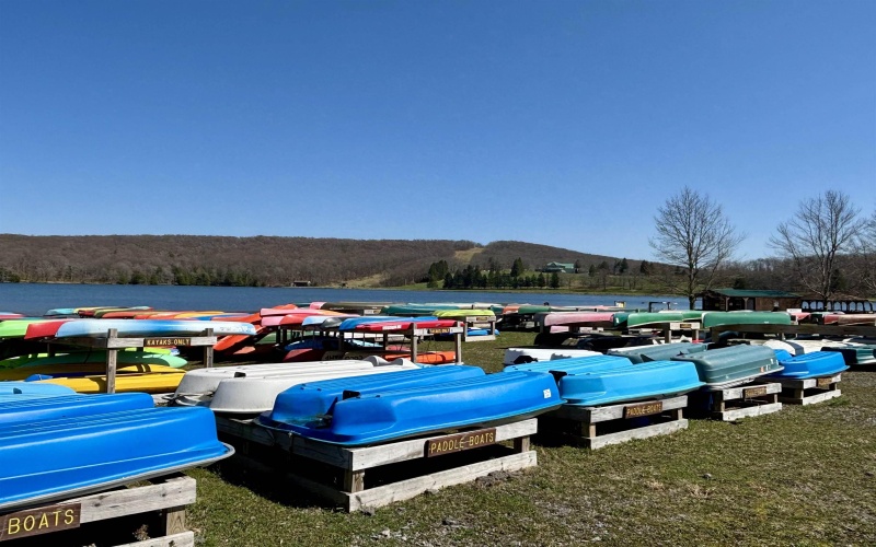 0 Bluebird Drive, Terra Alta, West Virginia 26764, ,Lots/land,For Sale,Bluebird,10158935