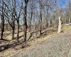 0 Bluebird Drive, Terra Alta, West Virginia 26764, ,Lots/land,For Sale,Bluebird,10158935