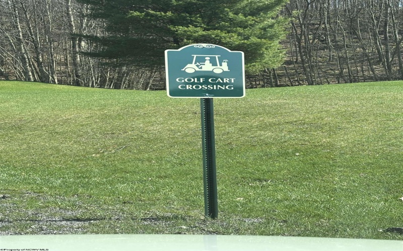 0 Bluebird Drive, Terra Alta, West Virginia 26764, ,Lots/land,For Sale,Bluebird,10158935