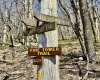 0 Bluebird Drive, Terra Alta, West Virginia 26764, ,Lots/land,For Sale,Bluebird,10158935