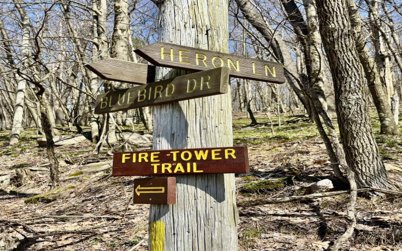 0 Bluebird Drive, Terra Alta, West Virginia 26764, ,Lots/land,For Sale,Bluebird,10158935
