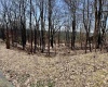 0 Bluebird Drive, Terra Alta, West Virginia 26764, ,Lots/land,For Sale,Bluebird,10158935