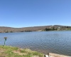 0 Bluebird Drive, Terra Alta, West Virginia 26764, ,Lots/land,For Sale,Bluebird,10158935