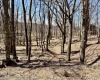 0 Bluebird Drive, Terra Alta, West Virginia 26764, ,Lots/land,For Sale,Bluebird,10158935