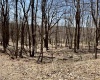 0 Bluebird Drive, Terra Alta, West Virginia 26764, ,Lots/land,For Sale,Bluebird,10158935